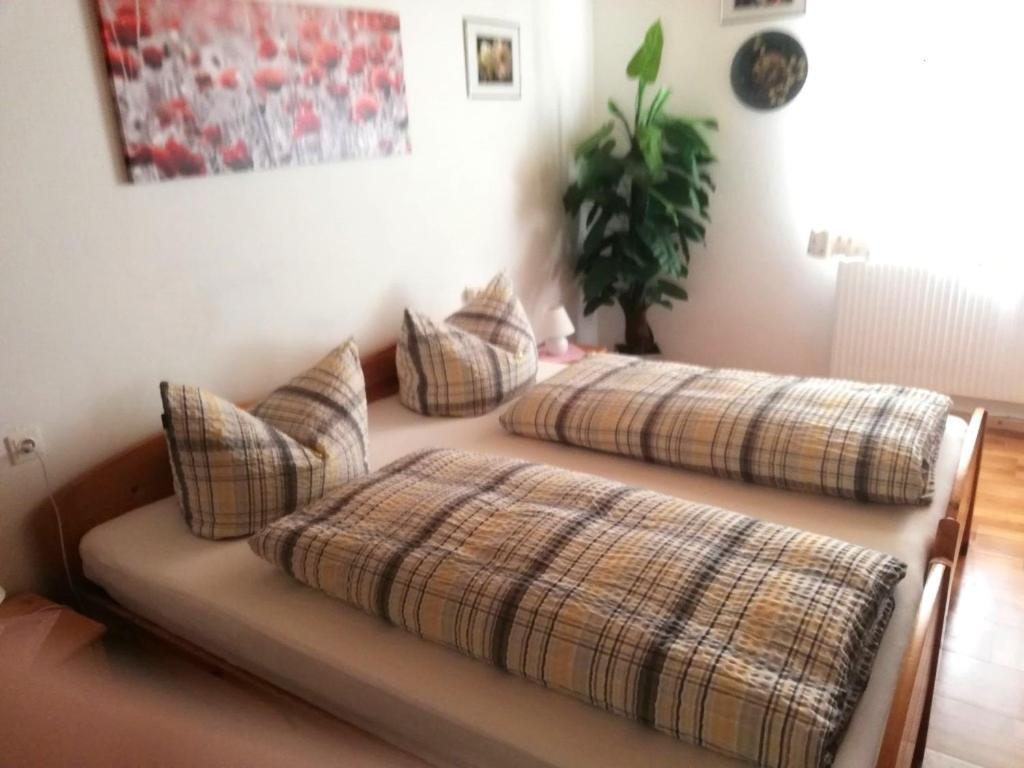 Appartment Haring Hollenstein an der Ybbs Buitenkant foto