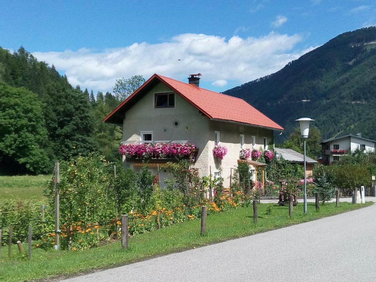 Appartment Haring Hollenstein an der Ybbs Buitenkant foto